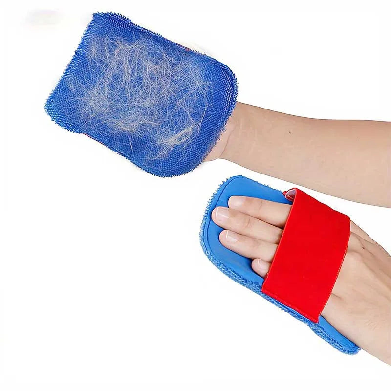 Pet Hair Remover Brush & Gloves