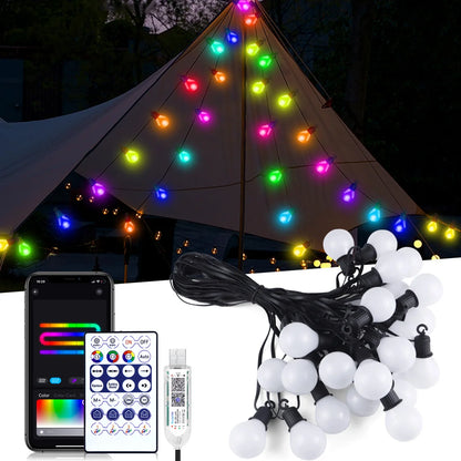 WiFi Smart LED String Lights