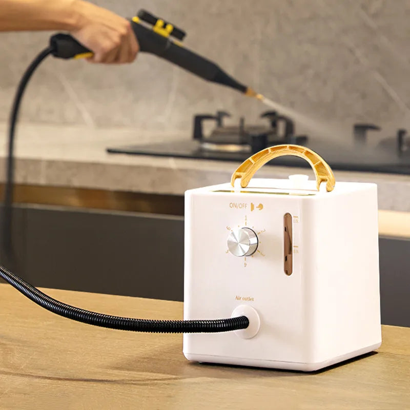 2600W High-Pressure Steam Cleaner for Home &amp; AC Cleaningead for Kitchen