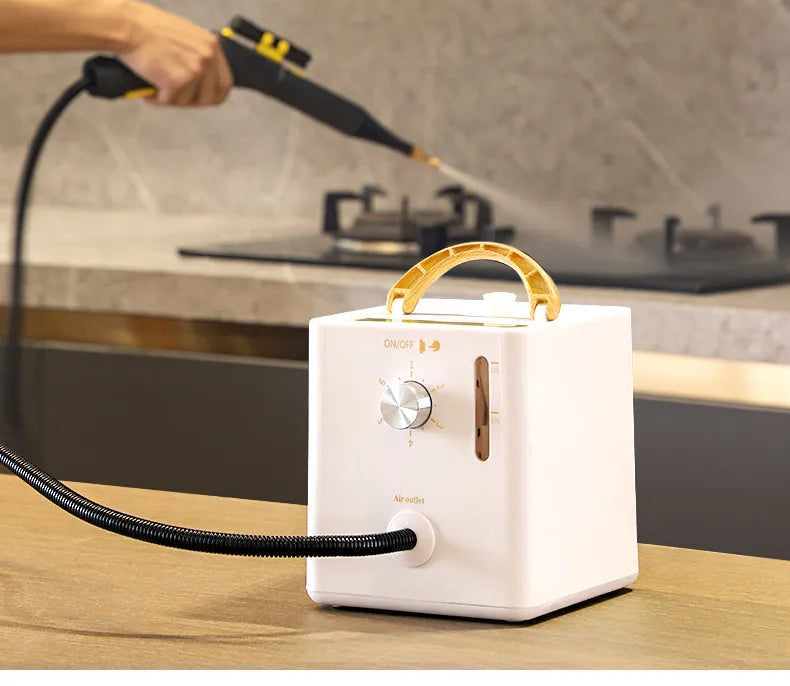 2600W High-Pressure Steam Cleaner for Home &amp; AC Cleaningead for Kitchen