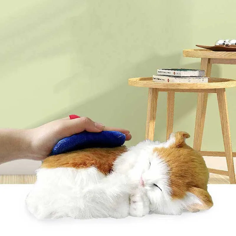 Pet Hair Remover Brush &amp; Gloves
