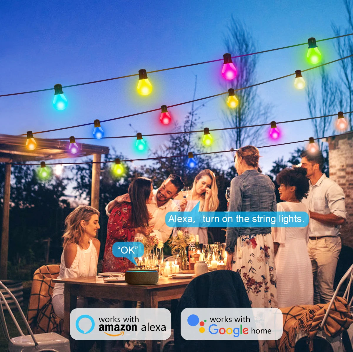 WiFi Smart LED String Lights